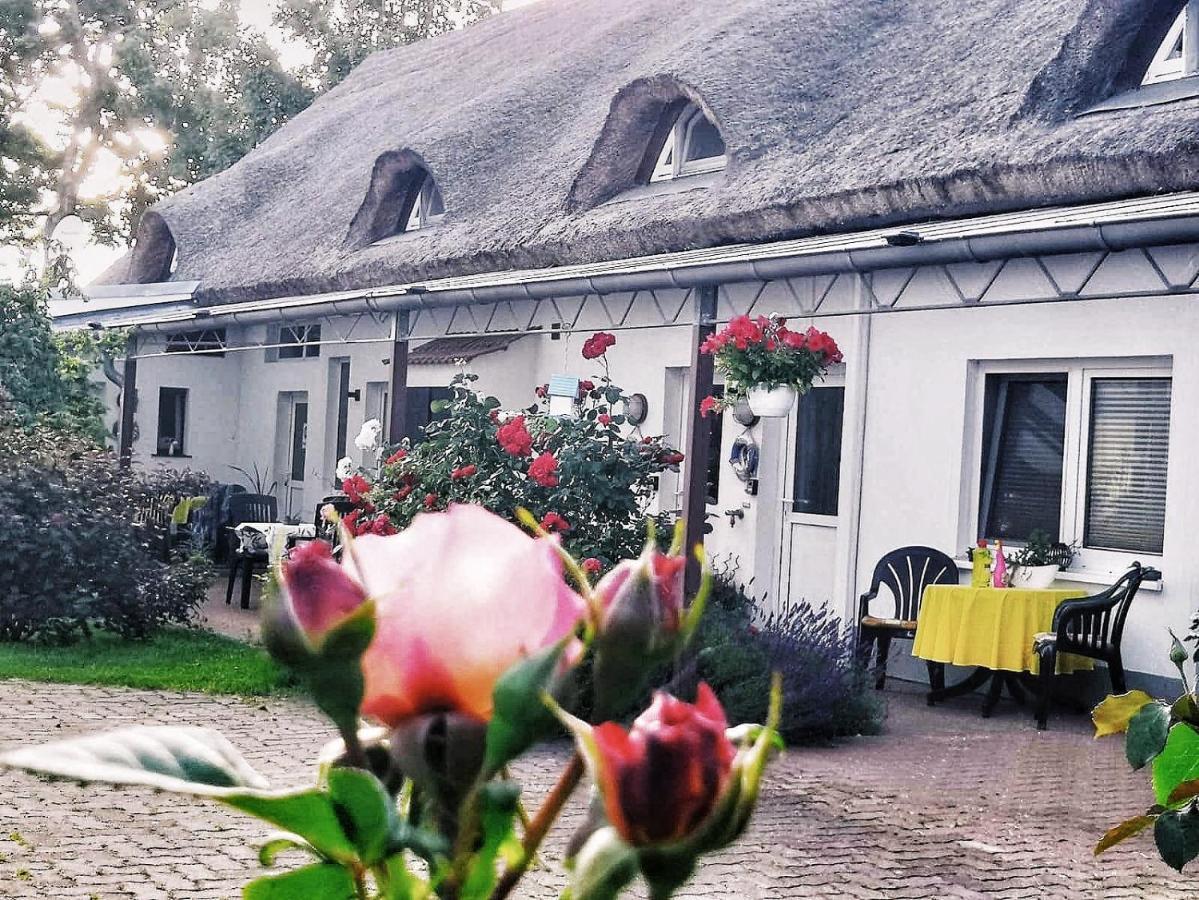 Reet Landhaus Rügen Ummanz Exterior foto